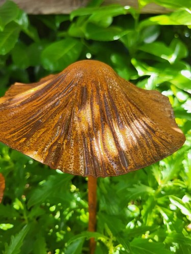 Edelrost pilz zum stecken - edelrost, 3d
