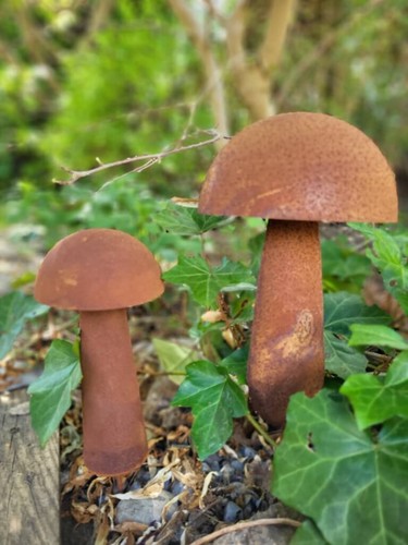 Edelrost pilz mick - mick, 2
