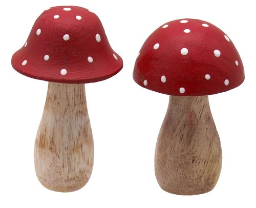 Fliegenpilz holz pilz - fliegenpilz,
