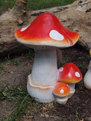 Pilz pilze deko - pilze,