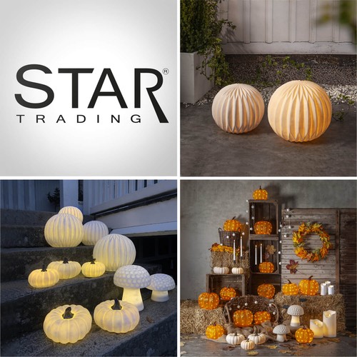 Star sandy harvy led - +,