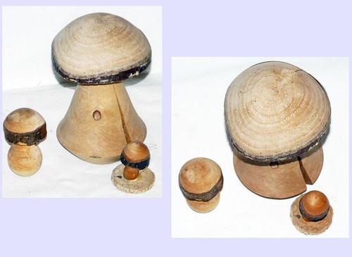 Deko holzpilze der - -,