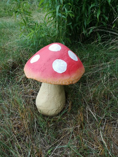 Fliegenpilz pilz gross - fliegenpilz,,