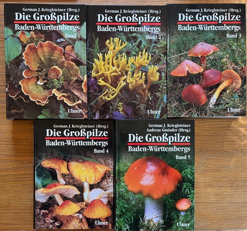 Die großpilze - die,