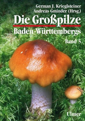Die großpilze - die,