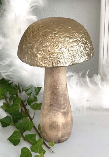Großer pilz fliegenpilz mango - großer,