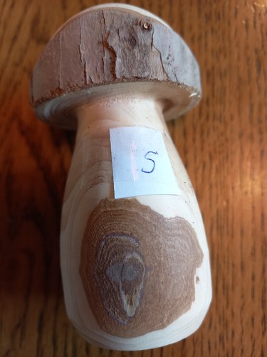 Pilz aus holz mittelgroß - holz,
