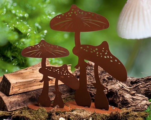 Edelrost fliegenpilz auf - fliegenpilz,