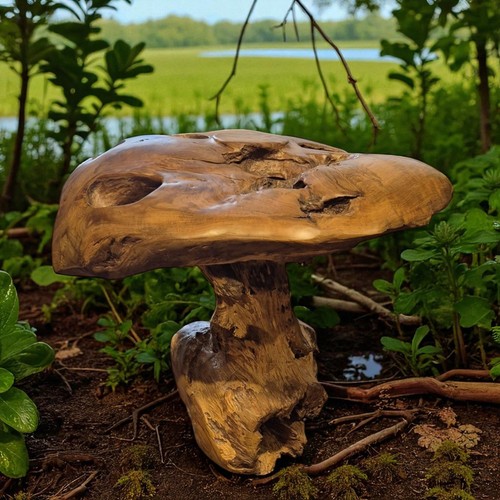 Pilz skulptur holz teak - pilz,