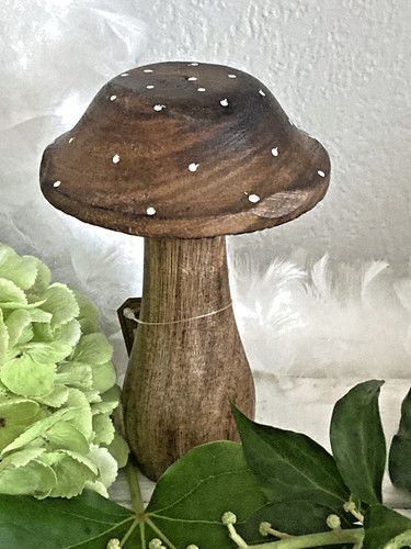 Großer pilz fliegenpilz mango - großer,