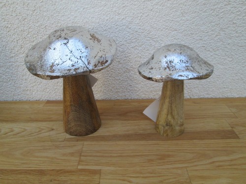 Pilz aus mangoholz - pilz,