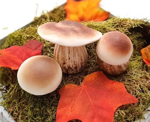 Deko pilze champignon - deko,